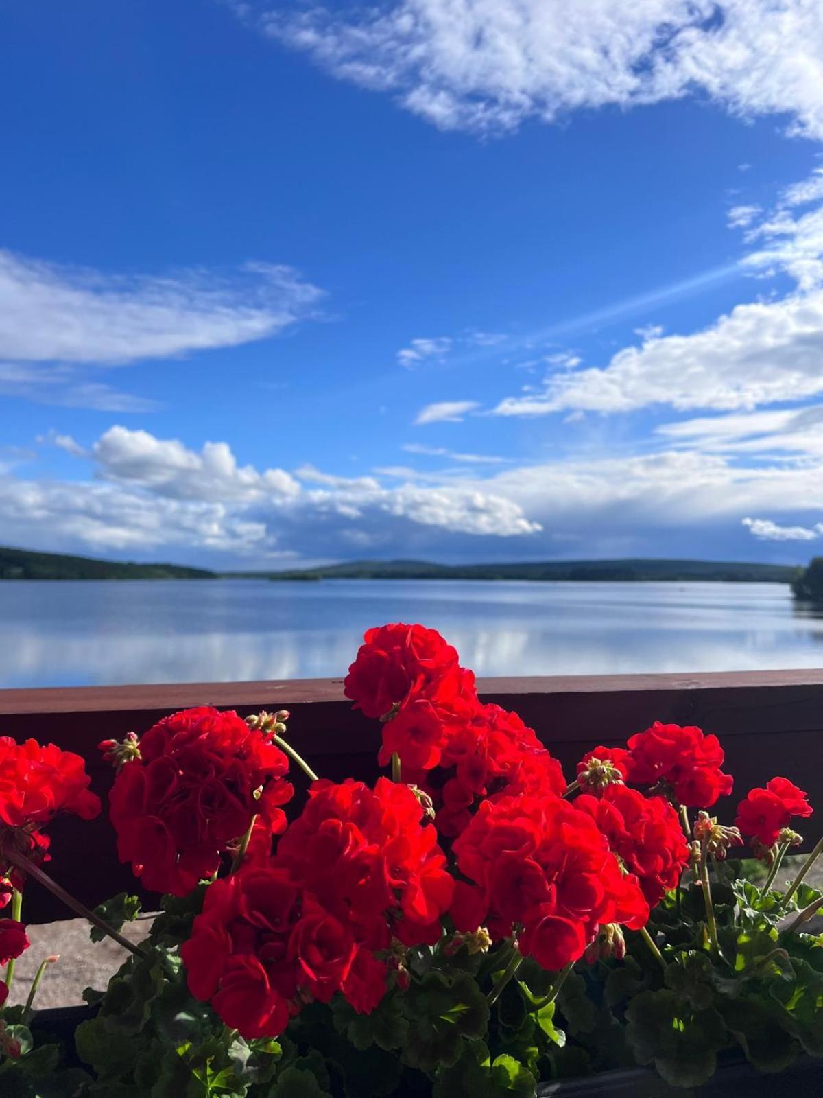 Jauri Resort Kemijärvi Εξωτερικό φωτογραφία